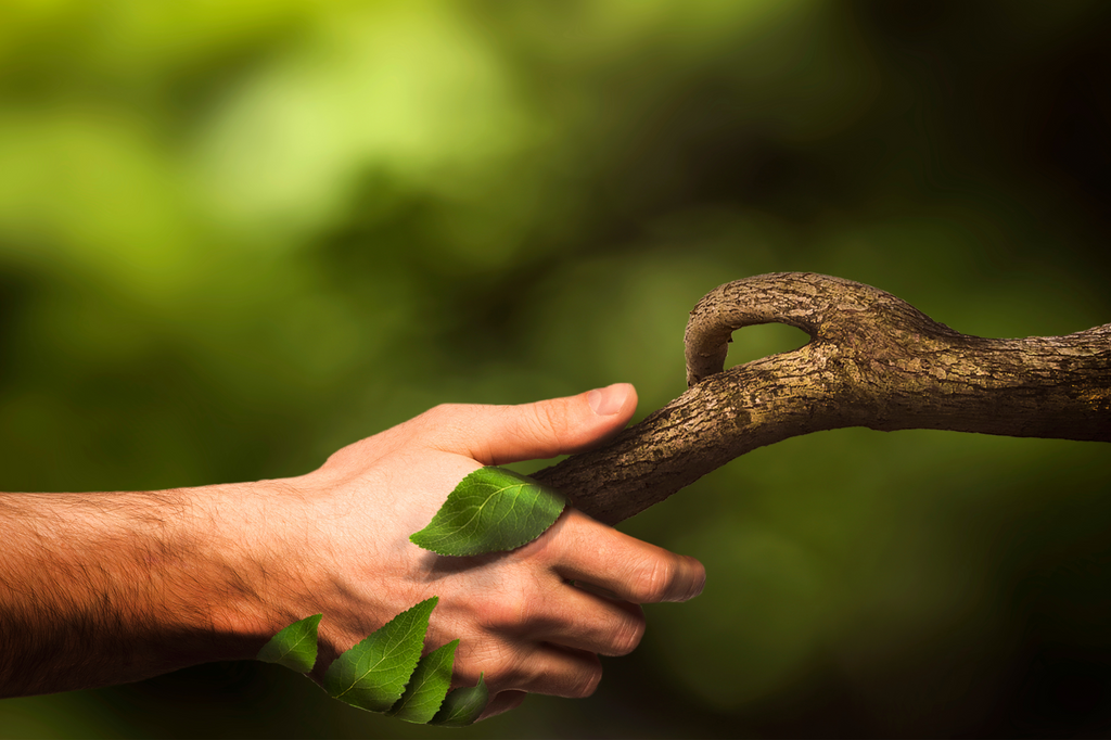 I Crediti Natura: L'Unione Europea fa un passo avanti per un'economia che premia la natura