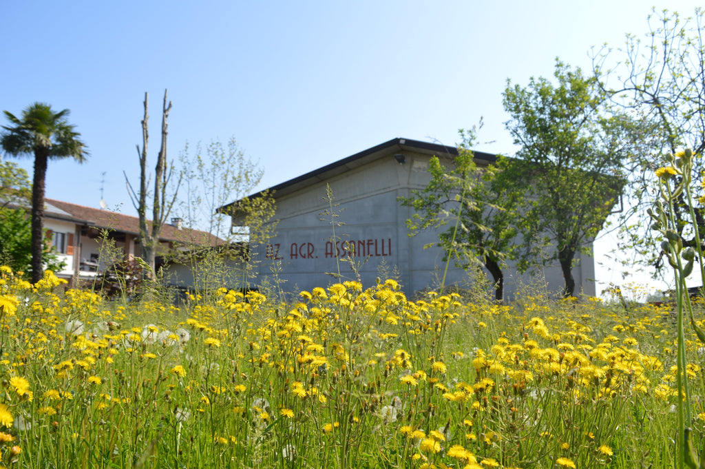 Eventi in cascina a Treviglio di maggio