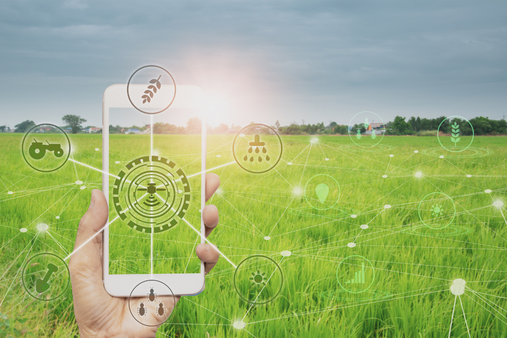Sicurezza alimentare: Tracciabilità e Rintracciabilità