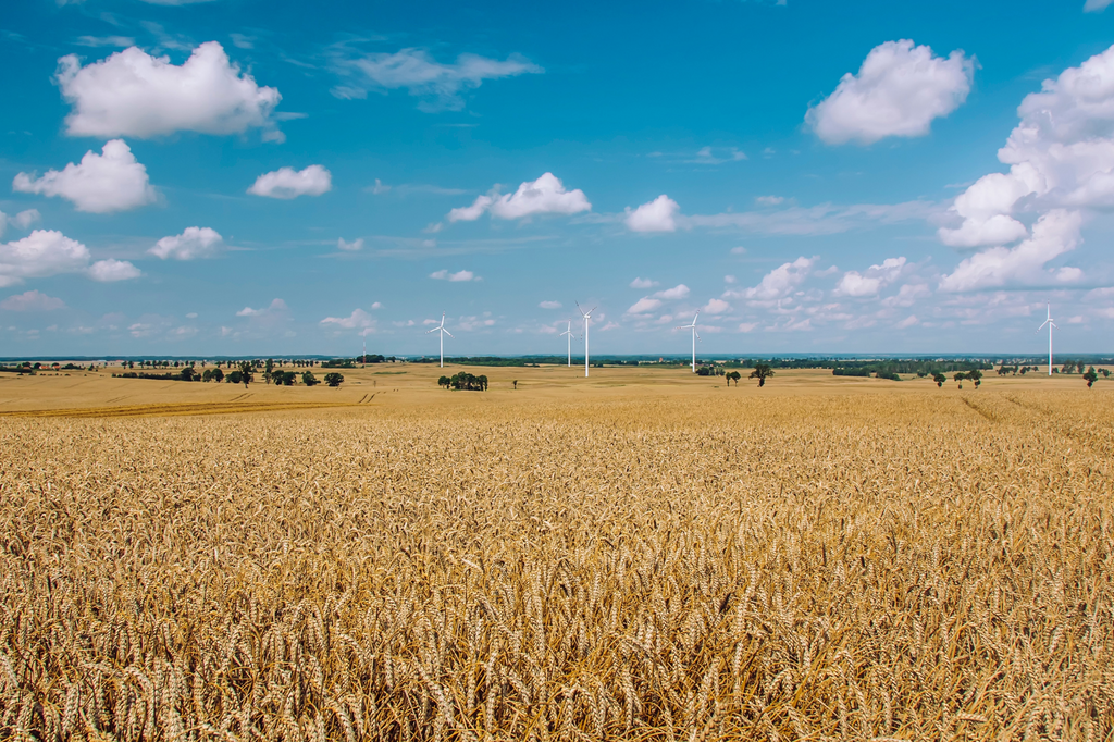 Nuovi incentivi per gli agricoltori di Liguria, Sardegna e Toscana